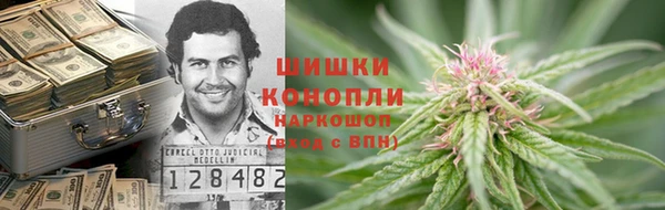шишки Алзамай