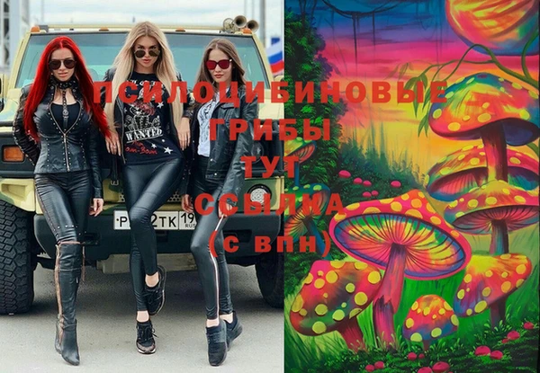 тгк Абдулино