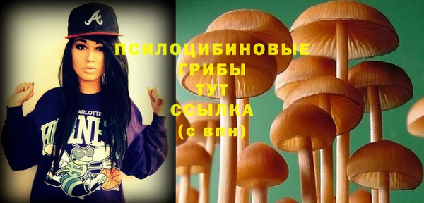 прущий лед Абаза