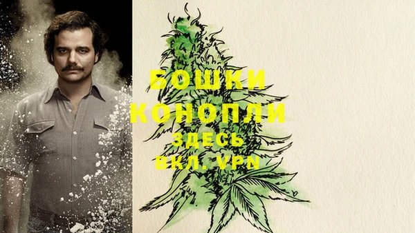 дмт Новокубанск