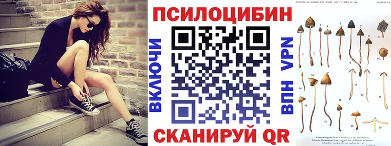 Галлюциногенные грибы Psilocybe  Южа 